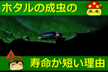 Thumbnail of post image 186